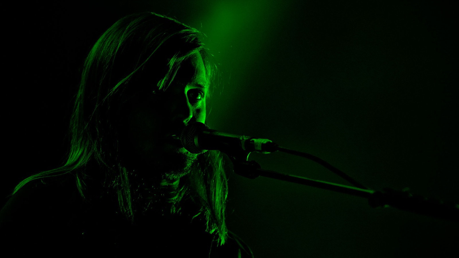 Portrait von Sänger in grünem Licht