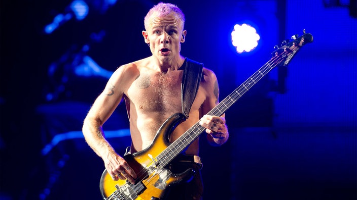 Bassist guckt mit einem erstaunten Gesichtsausdruck in die Kamera, während er spielt; der Hintergrund ist dunkelblau beleuchtet