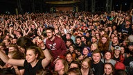  Royal Republic