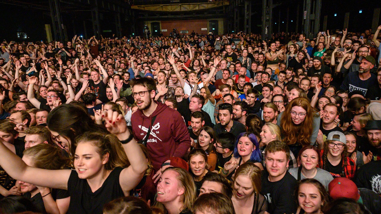  Royal Republic