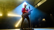  Royal Republic