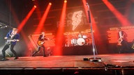  Royal Republic