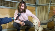 Biffy Clyro beim Serengeti Festival 2014 
