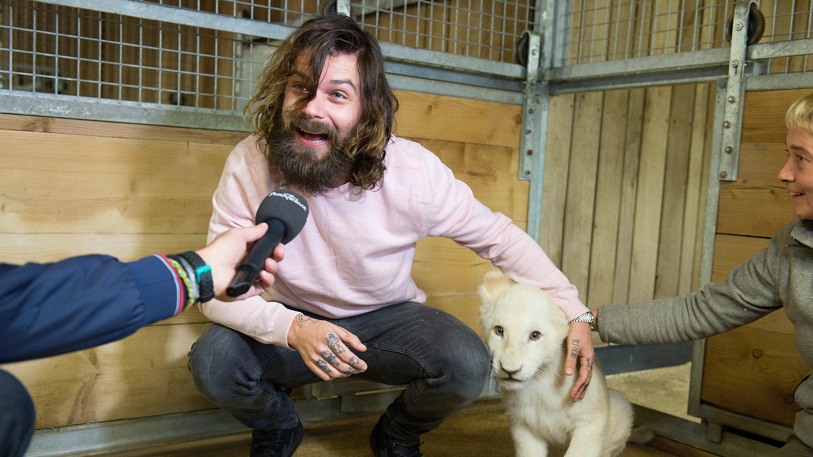 Biffy Clyro beim Serengeti Festival 2014 