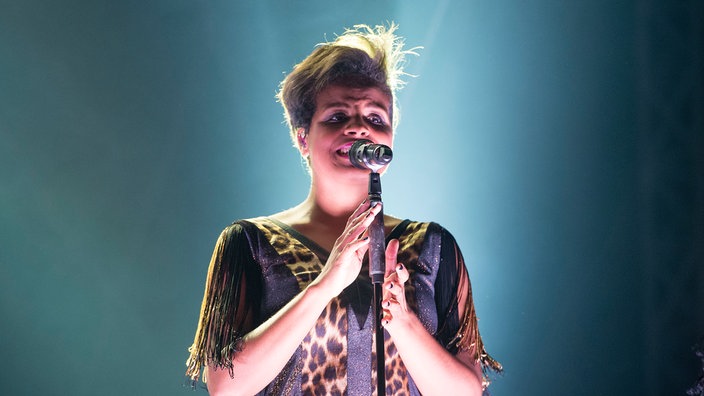 Jan Delay & Disko No. 1 beim Serengeti Festival 2014 