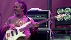 Stephen Marley's Bassist