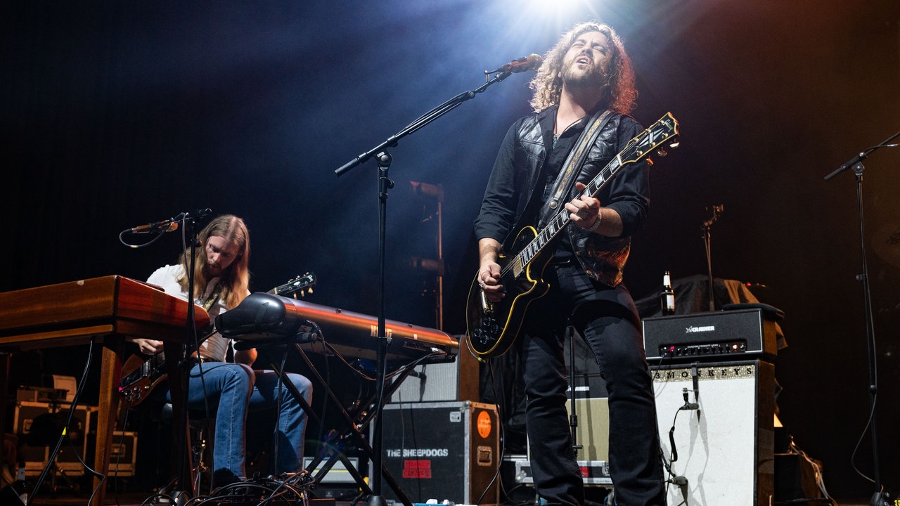 The Sheepdogs
