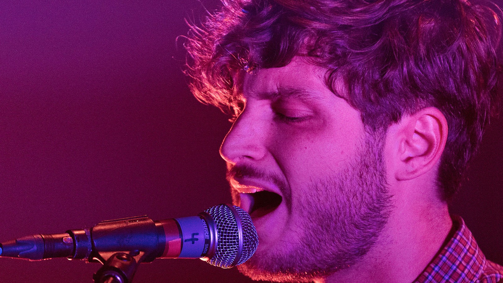 Portrait Sänger beim singen in lila Hintergrundlicht
