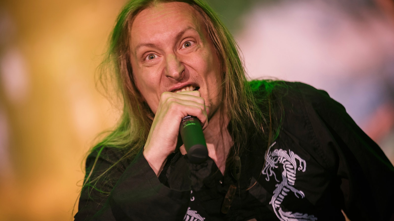 Wintersun beim Summer Breeze 2017