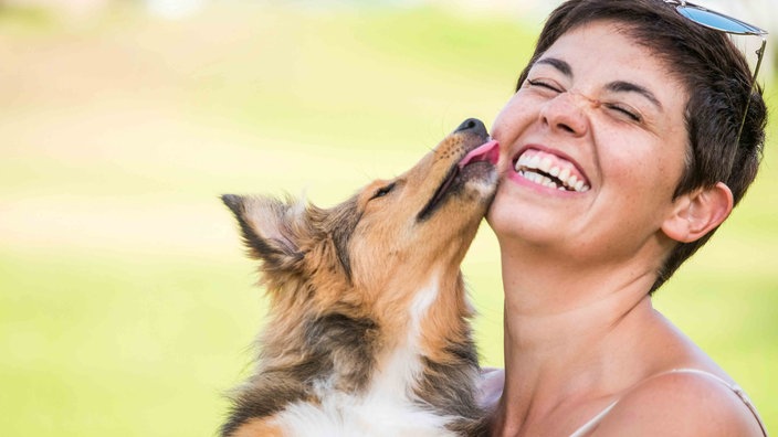 Dreifarbiger Hund schmiegt sich an die Wange einer jungen braunhaarigen Frau 