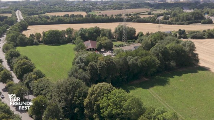 Das Bild zeigt das Tierheim Bochum aus der Luft 