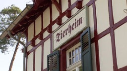 Das Gebäude eines Tierheims 