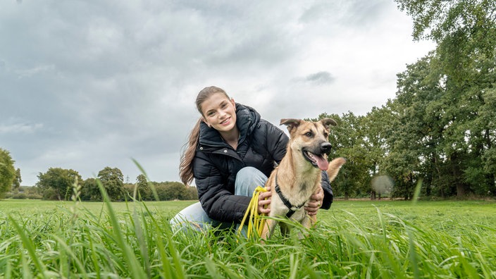Kleiner Hund mit beigefarbenem Fell liegt auf einem Kissen 