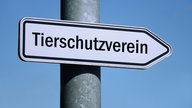 Wegweiser mit der Aufschrift Tierschutzverein