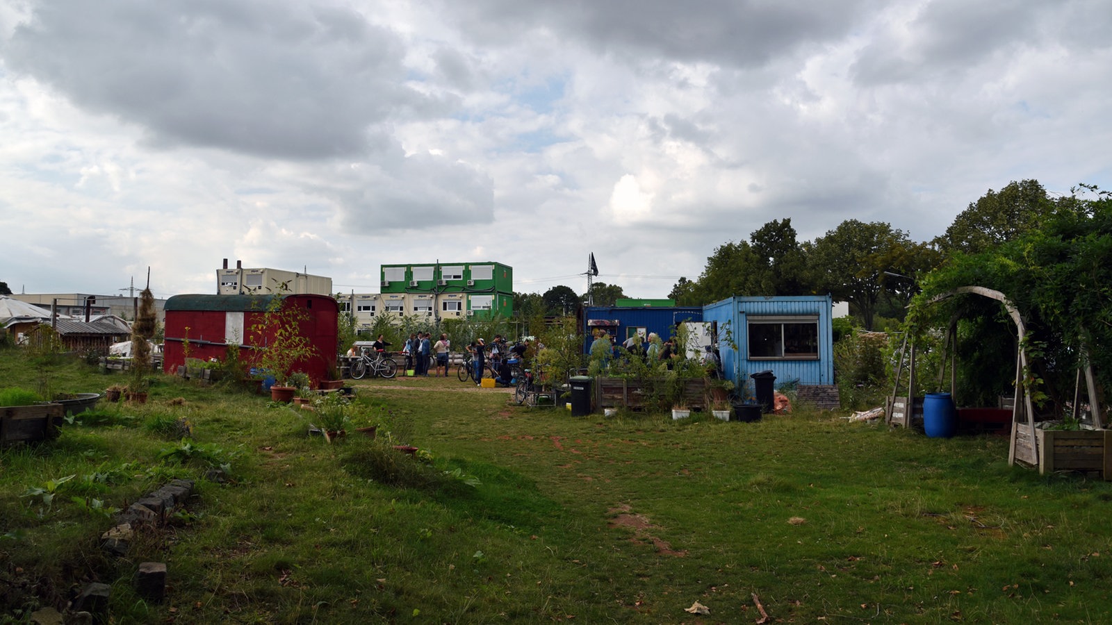 Gartenprojekt NeuLand in Köln