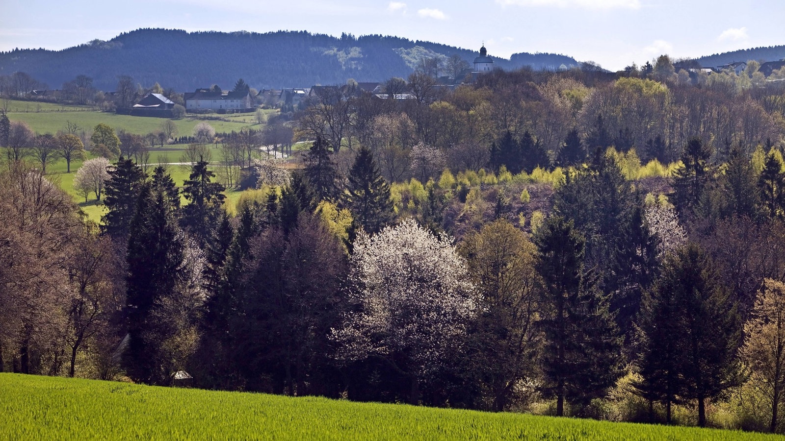 Landschaft im Sauerland, bei Affeln