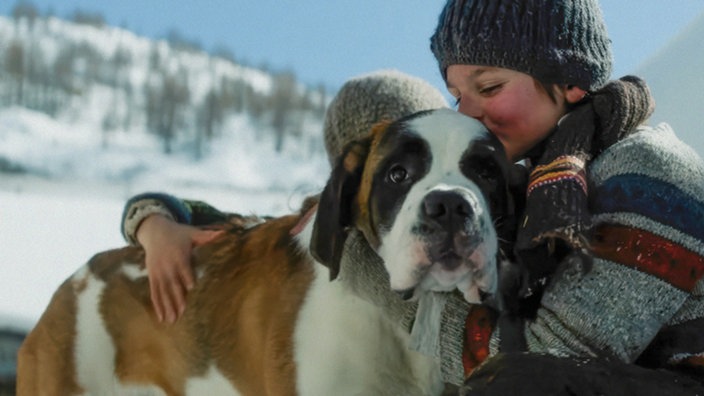 Kind umarmt Bernhardinerhund