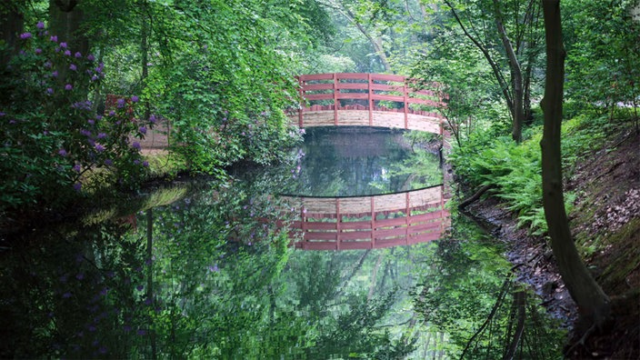 Ai Weiwei, The Bridge Without a Name, 2012