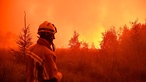 Feuerwehrleute im Einsatz beim Großbrand im Naturschutzgebiet Hohes Venn