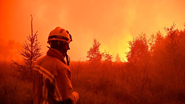 Feuerwehrleute im Einsatz beim Großbrand im Naturschutzgebiet Hohes Venn