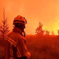 Feuerwehrleute im Einsatz beim Großbrand im Naturschutzgebiet Hohes Venn