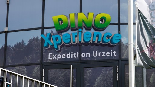 Grüne Buchstaben an einem Gebäude.
