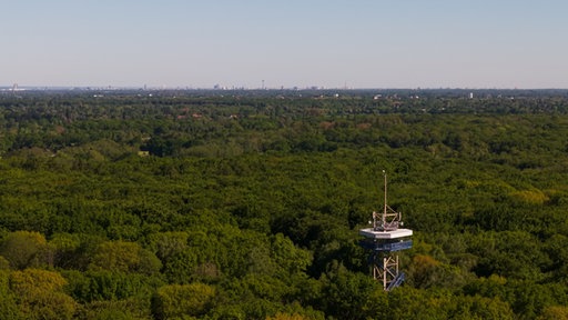 Drohnenaufnahme überm Hülser Berg bei sonnigem Wetter mit Blick auf Düsseldorf