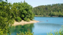 Westufer des Sorpestausees im Sauerland