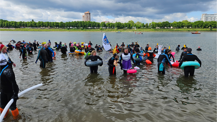 Gruppe von Schwimmern im Rhein.