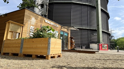 Der WaldRaum ist ein Gebäude vor dem Gasometer Oerhausen und Teil der Ausstellung "Mythos Wald"