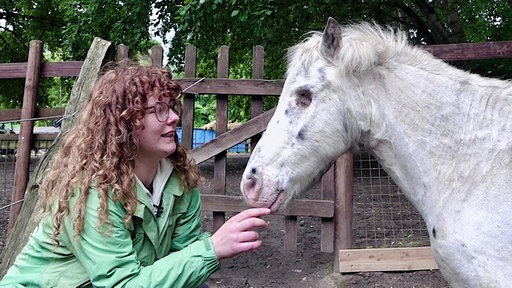 Einäugiges Pony Anton mit Lara Nickel
