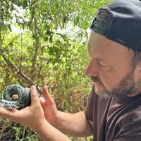 Ein Mann hält eine Schlange auf der Hand
