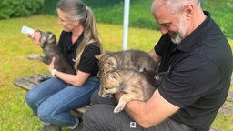 Daniela Hamm gibt einem Wolfswelpen das Fläschchen, Ingo Hamm hält zwei weitere Tiere in Händen