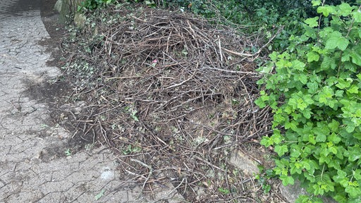 Ein heruntergefallenes Storchnest am Wegesrand.