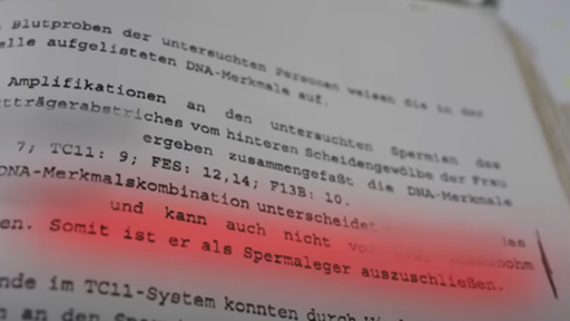Auszug aus dem Laborbericht
