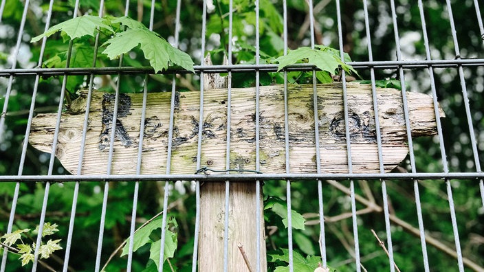Ein Holzkreuz steht hinter einem Metallzaun. Auf dem Kreuz steht der Name Rebecca.