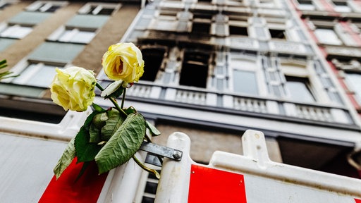 An eine Absperrung vor dem abgebrannten Haus wurde eine Blume geklemmt. 