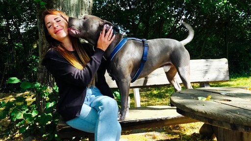 Hund Thyson steht neben der Tierheim-Vorsitzenden Wiebke Blomberg auf einer Bank und leckt ihr durchs Gesicht.