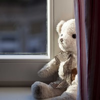 Ein weißer Teddybär sitzt auf einer Fensterbank, zur Hälfte von einem Vorhang verdeckt