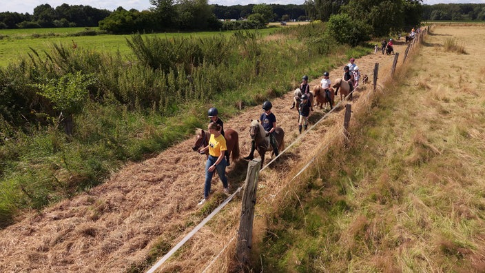 Mehrere Kinder reiten mit Ponys auf einem Feldweg.