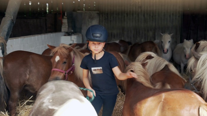 Ein Kind führt ein Pony in einem Stall zwischen vielen anderen Ponys mit einem Strick.