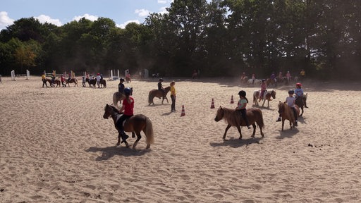 Mehrere Kinder reiten mit Ponys auf einem Reitplatz.