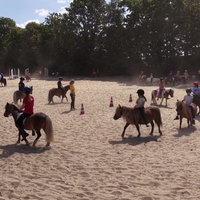 Mehrere Kinder reiten mit Ponys auf einem Reitplatz.