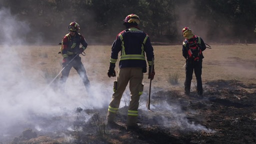 Feuerwehrkräfte löschen einen Waldbrand in Spanien 