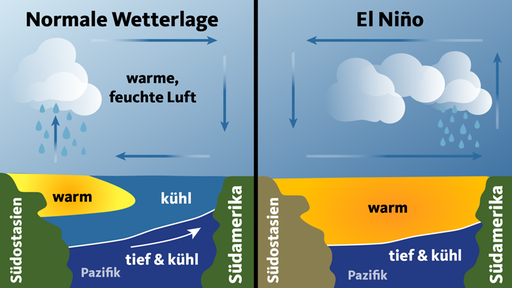 Funktionsweise des "El Niño" | Grafik
