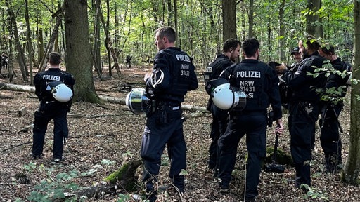 Polizisten stehen während des Einsatzes im Hambacher Forst.