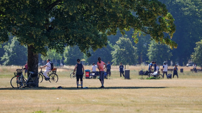 Menschen treiben Sport in einem Park am Rhein - einige suchen Schatten unter einem Baum
