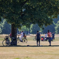 Menschen treiben Sport in einem Park am Rhein - einige suchen Schatten unter einem Baum