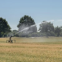 Regnerwagen wässert in der Hitze ein Feld