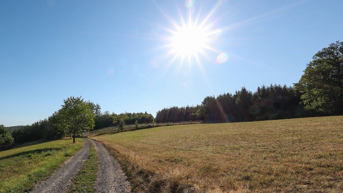 Über einem Feldweg steht die Sonne am klaren Himmel